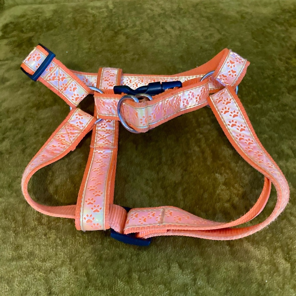 Large Orange Dog Halter